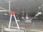 HI HOPE Piggery Farm Equipment Finisher Finishing Pen Crate