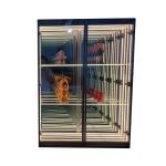 Customized Thickness Display Model Ornaments for Fashion Trends and Glass