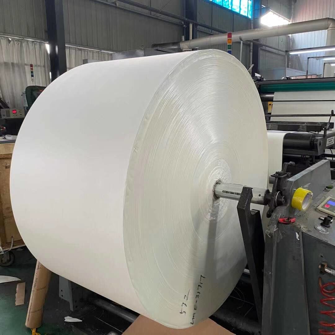 135gsm - 340gsm PE Coated Paper Roll Waterproof For Paper Cup