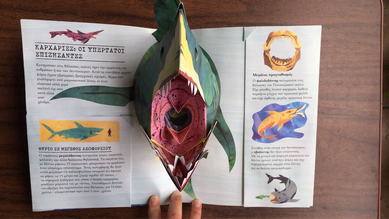 Eco - Friendly Children'S 3D Books Flap Board 3d Story Books For Kids