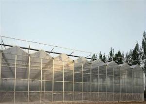 Wholesale 2.8mm - 20mm Thickness PC Sheet Greenhouse Low Heating Energy Consumption from china suppliers