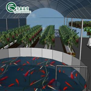 Wholesale Single Layer Tower Garden for Aduaponics Affordable Agricultural Greenhouse from china suppliers