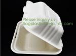 Biodegradable, Sugar Cane, Sugarcane Bamboo Pulp, Bento Box, Bagasse Food