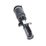 BMW E53 X5 Front Left / Right Air Suspension Strut Assembly 37116757501