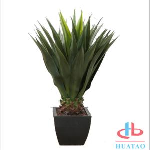 Wholesale Silk / Plastic Artificial Green Plants Musa Basjoo Plant Pot For Hotel And Plaza from china suppliers