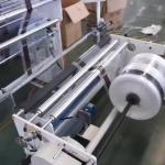 Compact Extruder Monolayer Blown Film Plant 20-25 Kw