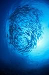 5000W Deep Sea Fishing Light Commercial Boat-mounted Fish Aggregation LED