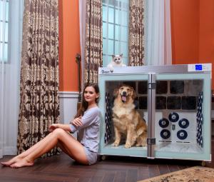 Wholesale 220V 2500W Pet Dryer Cage 6 Blowers Low Noise For Dog Grooming from china suppliers