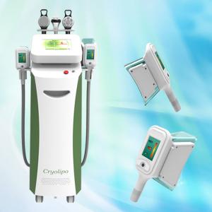 Wholesale high quality fat loss profestional cryolipolysis slimming machine aesthetics clinic from china suppliers