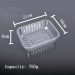 750g Disposable Fruit Containers