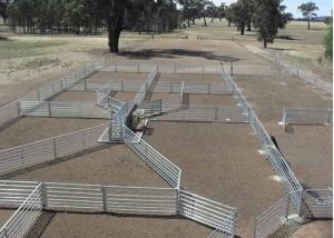 Wholesale Green Color Livestock Metal Fence Panels For Cattle / Horse / Sheep 6'H*8'L from china suppliers