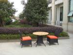 3pcs rattan sofa set