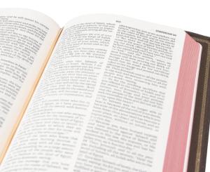 Wholesale Wood Pulp Advanced Low Weight Offset Bible Paper For Bible Encyclopedias And Dictionaries from china suppliers