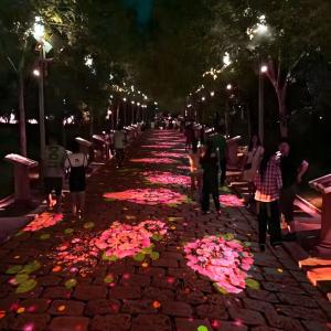 Wholesale Outdoor Projector Interact Ground Lighting Interactive Floor Projection from china suppliers