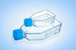 Sterile Plastic Cell Culture Bottle With Vented Cover Cell Culture Flask T25 T75