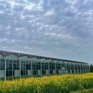 Wholesale Sleek Glass Greenhouse with Hydroponic Vegetable Setup Enhance Your Farming Efficiency from china suppliers