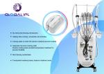 360 Degree Cryo Fat Freezing Cryolipolysis Machine For Weight Loss High