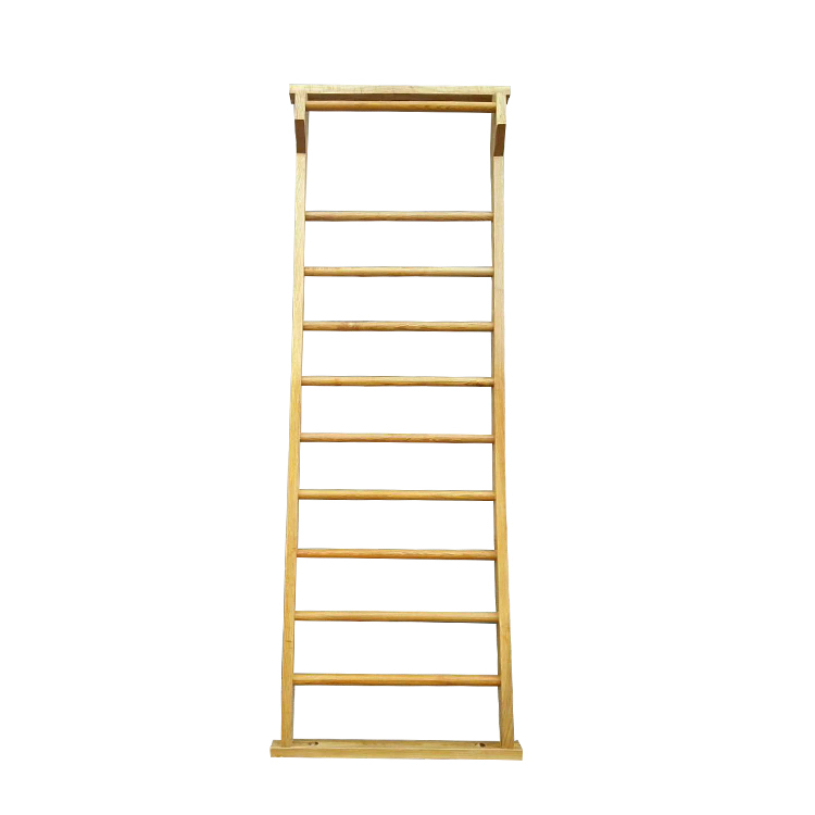 Indoor kids exercise wall wooden ladder