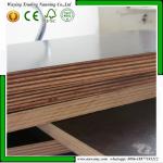 Formwork Concret Poplar 1250*2500mm Film Faced Plywood