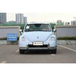 Great Wall Motors Ora Ballet Cat 400km Pure Electric Range and ESC for 2024