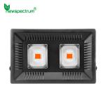 AC 110V LED Cob Grow Lights Module For Hydroponic Outdoor Greenhouse