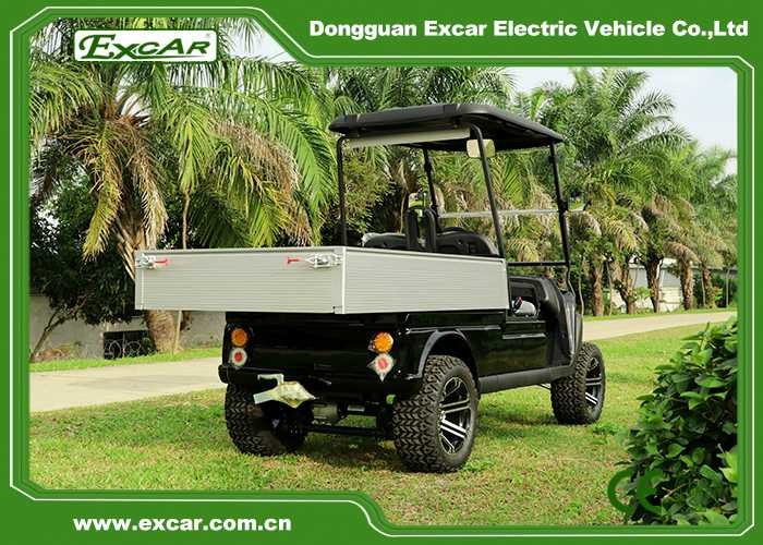 14 Inch Tires Hunting Utility Electric Golf Buggies With Cargo Box