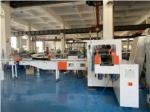 150bags/min Plastic Film Facial Tissue Paper Napkin Wrapping Packing Machine