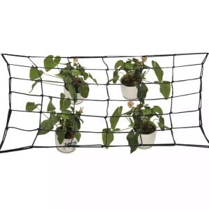 Wholesale 60x60cm 90x90cm Removable Hooks Scrog Net In Black Color from china suppliers
