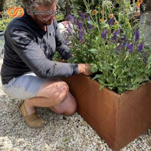 Wholesale 1200*500*600mm Corten Steel Vegetable Planters Rusted Metal Planter Boxes from china suppliers