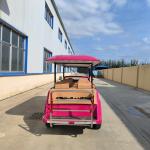 6+2 Seats Classic Retro Electric Convertible Vintage Car Lithium Battery