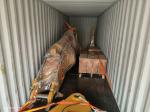 Antiwear Sturdy Excavator Stump Ripper , Doosan Bucket Ripper Attachment Rock