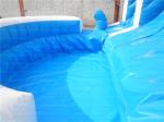 Shark Inflatable Water Slide (CYSL-37)