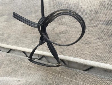 Hot Dip Galvanized Pipe High Tunnel Greenhouse Customizable Agriculture Greenhouse