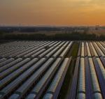Steel Structure Greenhouses Energy- jx-SG-21 Thermal Insulation Technology with