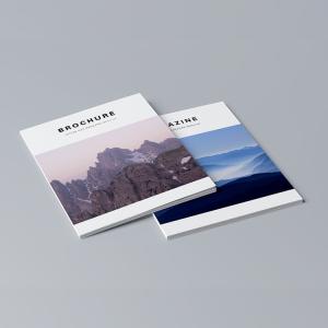 Wholesale Luxury Full Color Brochures , Printing Advertising Flyers Book FDA Certificate from china suppliers