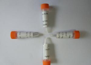 Wholesale High Performance Mouse Monoclonal Antibody To Anti-Barbiturates ISO13485 CE from china suppliers
