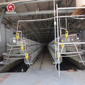 Wholesale A Type Baby Layer Chicken Brooder Cage Automatic 195*38*38cm from china suppliers