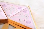 ISO 9001 Recyclable Pentagon Cosmetic Eyeshadow Palette