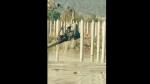 3200rpm River Canal Pond Sheet Pile Driving Machine For Photovoltaic Sheet