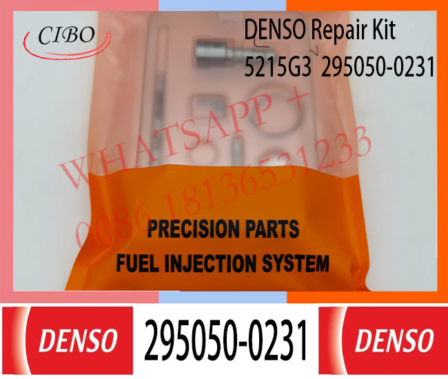 295050-0231 DIESEL DENSO INJECTOR PARTS REPAIR KIT 295050-0231 295050-0790 295050-1170 295050-1590 FOR DENSO G3 INJECTOR