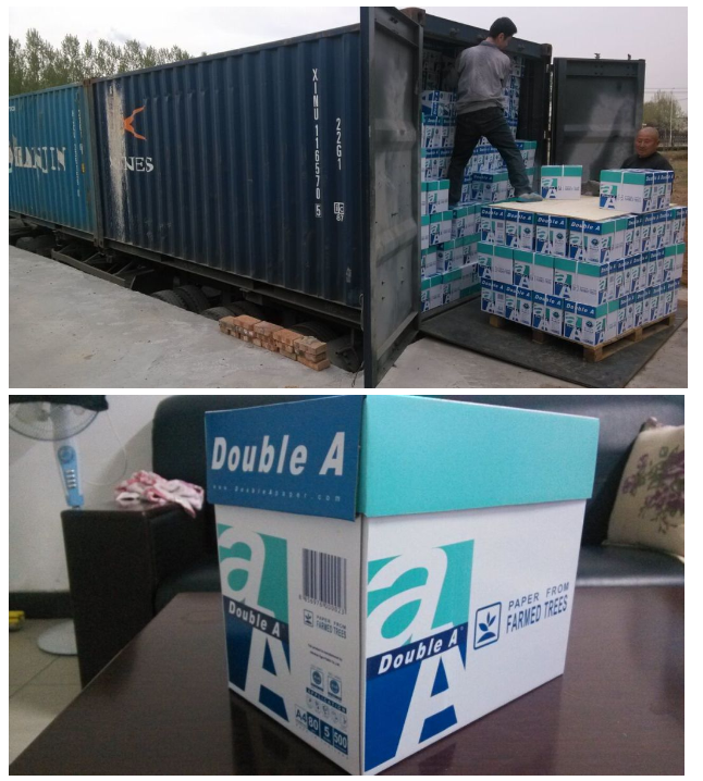 Versatile 70g Copy Paper Jumbo Roll for All Printing Requirements