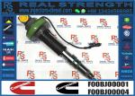 Original QSK19 QSK60 Fuel Injector F00BL0J019 2867149 4964173 4955527 4964170