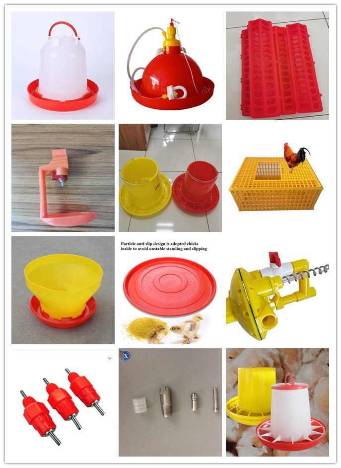 Automatic Feeding Chicken Nipple Drinker System Ground Breeding