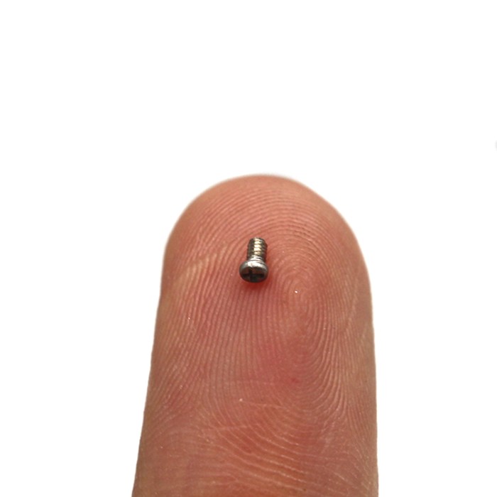 Stainless Steel Pan Head Phillips Small Screw M0.6 M0.7 M0.8 M1.5 M2 Ss Micro Screws