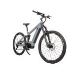 11 Speed Adult Mountain Fatbike Electric MTB Bicycle with Fat Tire Ebike