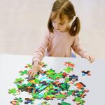 Level 4 Mysterious Nature Educational Puzzle Toys For Boys Girl Kids Ages 2 Up