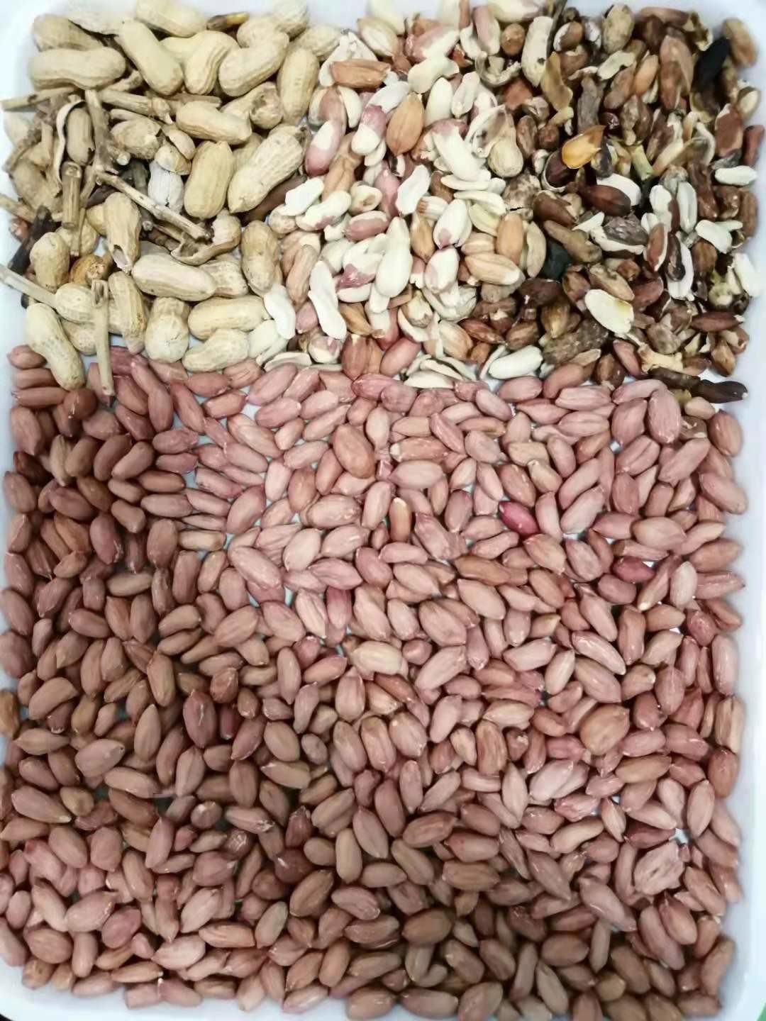 Metal Ejector Groundnut Machine , CCD Camera Peanut Color Sorter