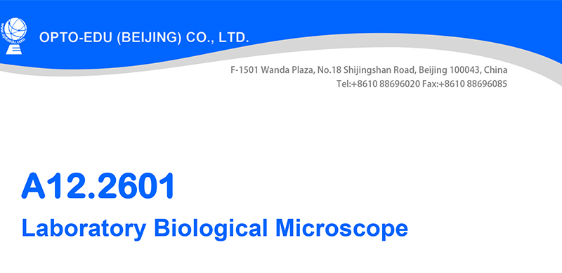 High Power Compound Optical Microscope For Students , WF10X - 18mm A12.2601