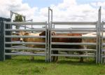 cow fence panels