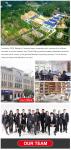 China Pyrotechnics 98 Shots Consumer Christmas New Year Cake Fireworks &